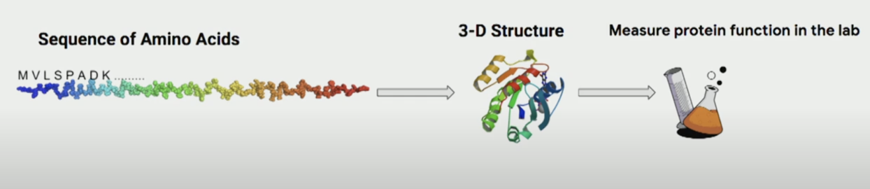 Protein function prediction
