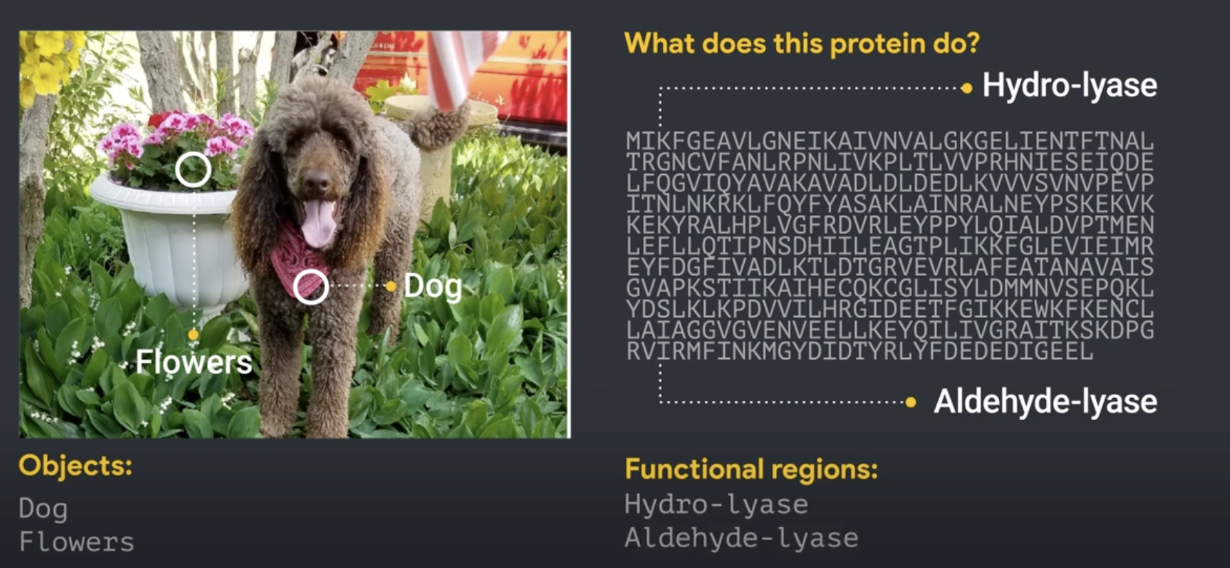 Protein structure and function