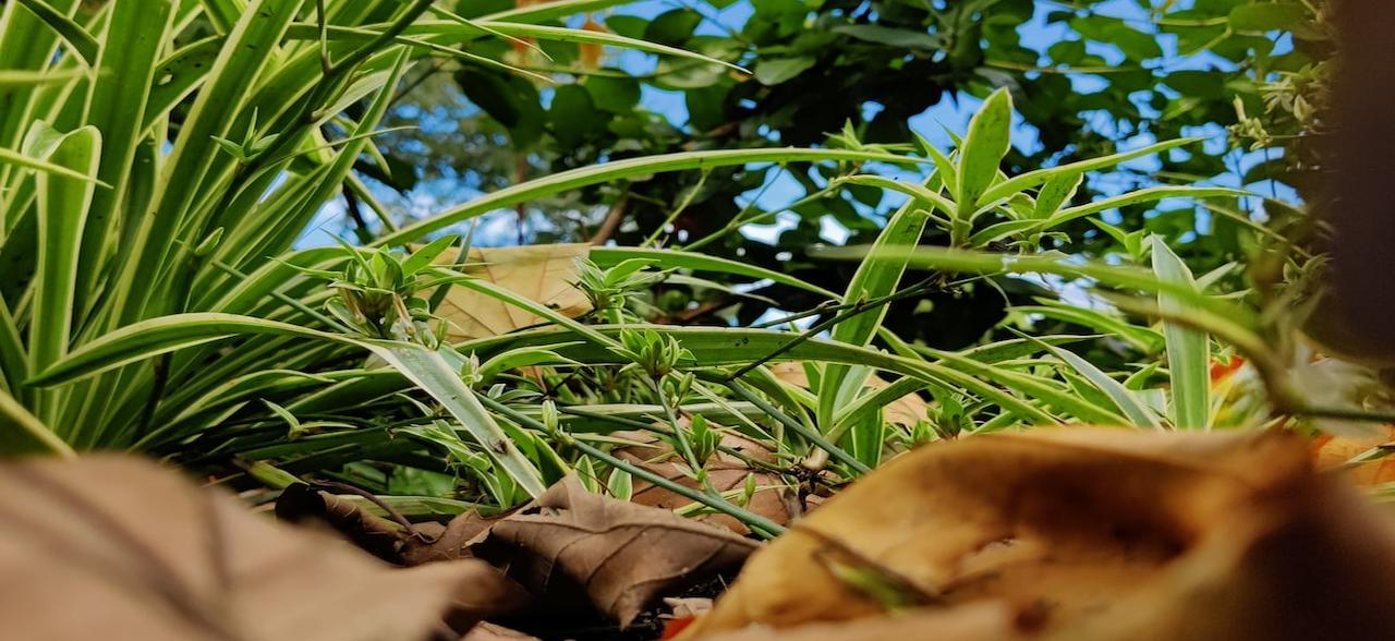 Ants and Grasshoppers: Notes on Reading Die with Zero