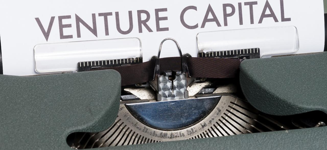 Whales and Wealth: Notes on Reading VC: An American History